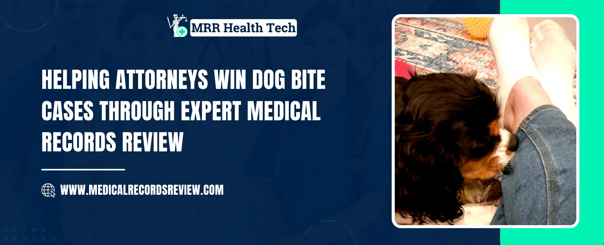 Expert Medical Records Review: Win Dog Bite Cases Today