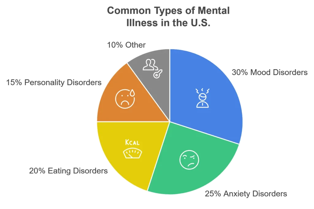 Diagram showing common types of mental illness in US