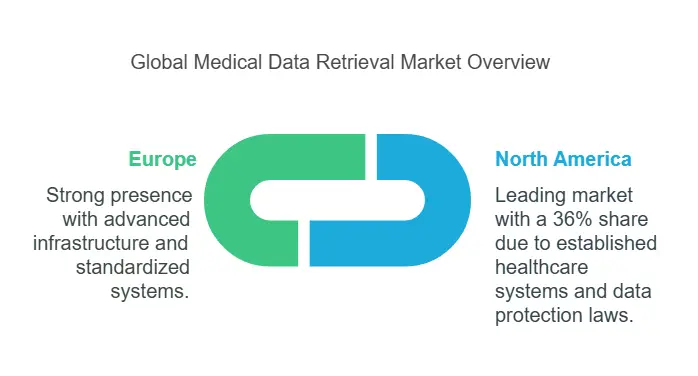 Regional Market Dynamics and Projections